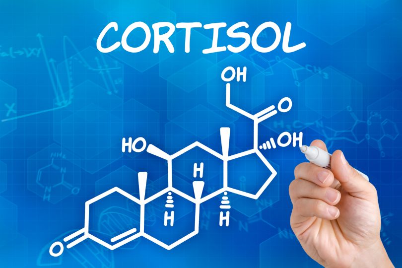 Что такое гормон кортизол?
