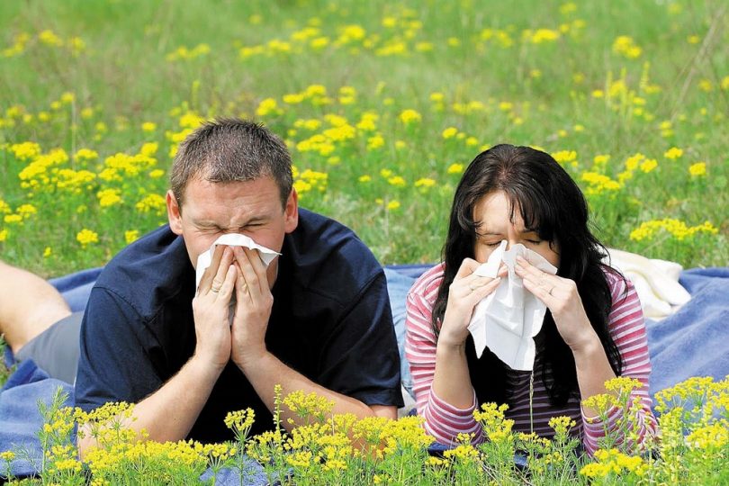 Как избавиться от аллергии навсегда в домашних условиях?