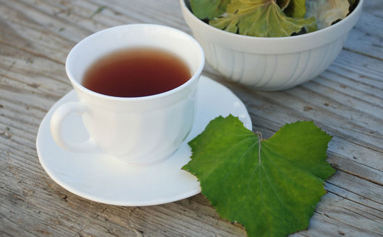 Мать-и-мачеха: лечебные свойства и противопоказания