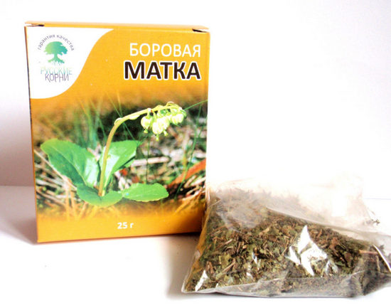 матка боровая