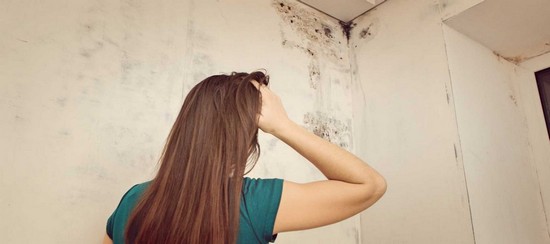 Чем опасен грибок на стенах для здоровья
