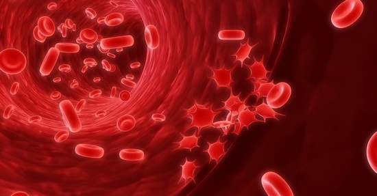 Причины колебаний билирубина в крови