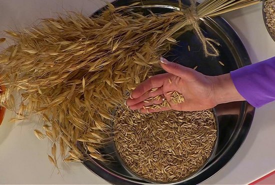 Квас из овса: рецепты