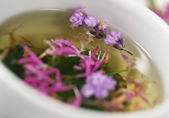 Трава пустырника: применение