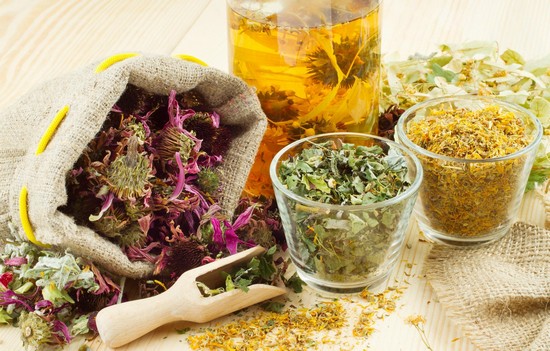 о полезных свойствах лугового василька