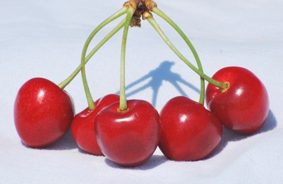 Просушим вишни и уберем хвостики