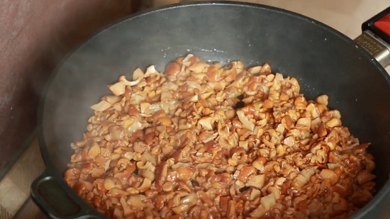 Вернемся к грибам