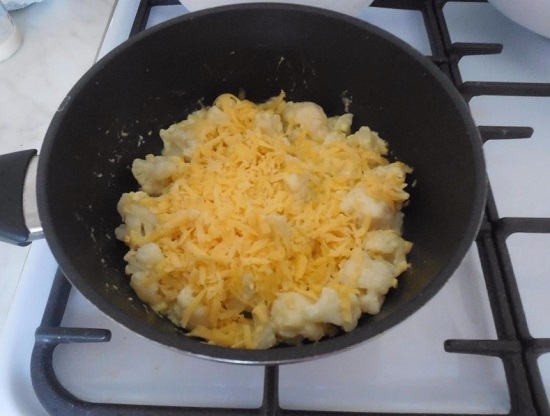 твердый сыр