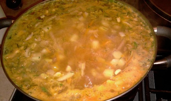 Все хорошенечко перемешиваем и провариваем суп