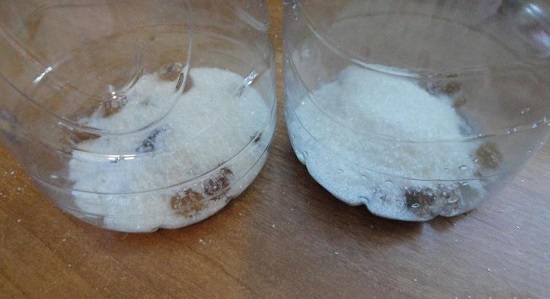 В бутылки выкладываем по ½ ст. л. изюма