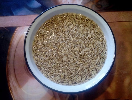 промываем овес