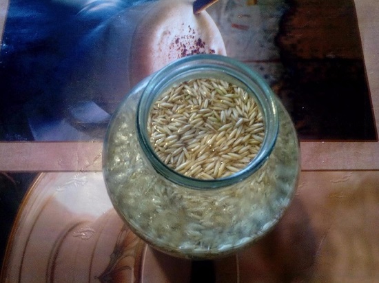 добавляем промытый овес