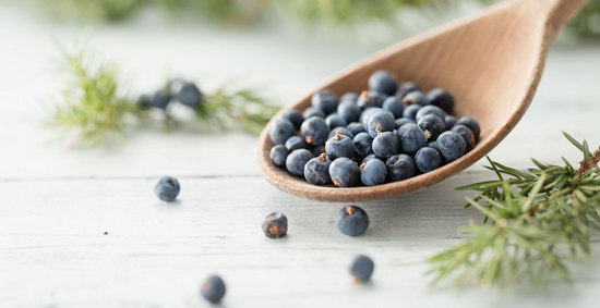 Польза можжевельника 