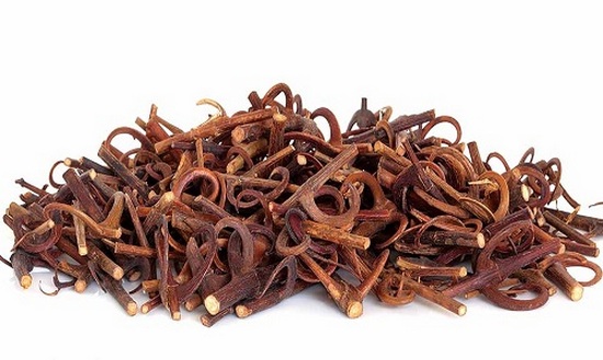 Кошачий коготь: показания к применению